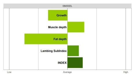 Abermax - Select Grade