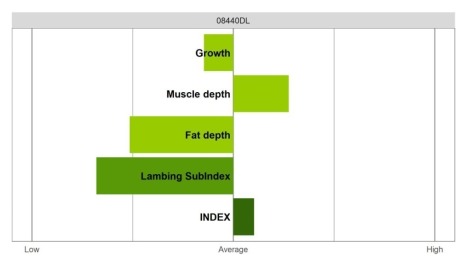 Abermax - Select Grade