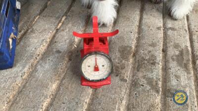 Small Weighing Scales