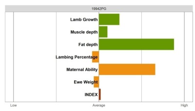 Aberfield Ram - Select Grade