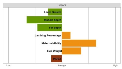 Highlander Ram - Commercial Grade