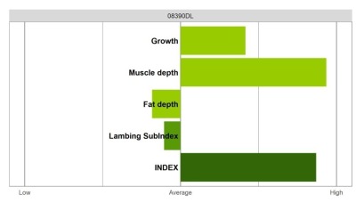 Abermax Ram - Elite Grade