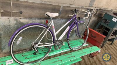 Vintage racing bike
