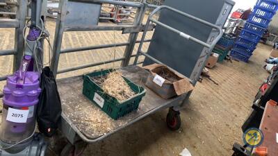 Heavy duty trolley on wheels
