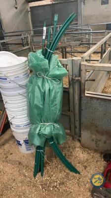 Polytunnel 8x6