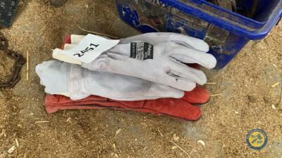 Gloves