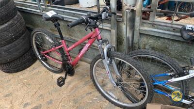 Apollo vivid bike