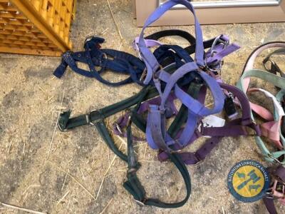 5x horse headcollars
