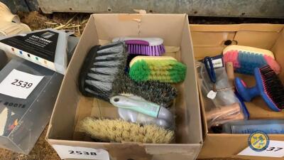 Horse brushes