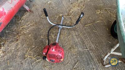 Strimmer head