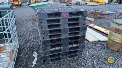 10x plastic standard pallets