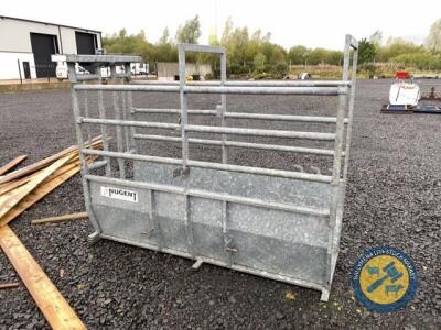 Nugent galvanised cattle crush