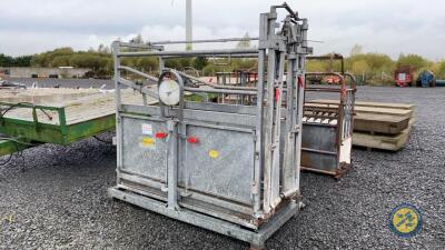 Cattle weigh & foot crush galvanised