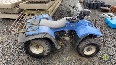 Suzuki 250 quad runner