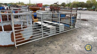 16ft sheep field gate