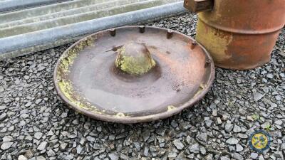 Mexican hat feeder