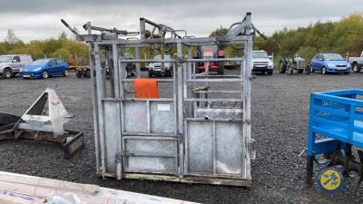 IAE galvanised cattle hoof pairing crush complete with front & back hoof winches