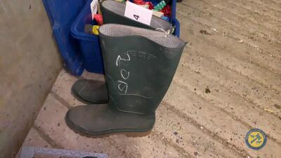 Wellington boots size 12