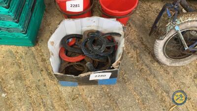 Box lot of horse shoes