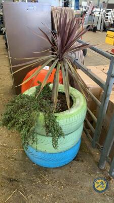 Plant in tyres