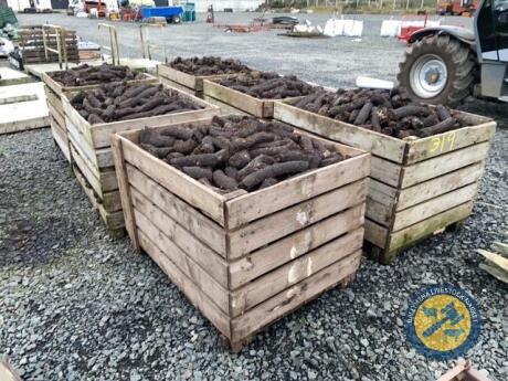 6x potato boxes of peat