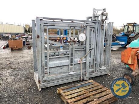 Galvanised Nugent cattle weigh crush clock working