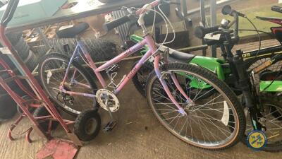 Girls raleigh bike