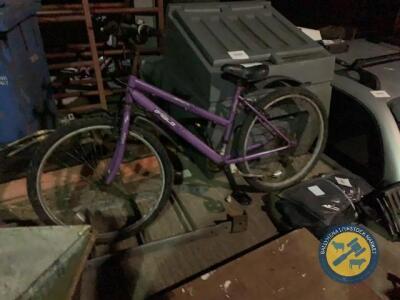 British eagle bike (purple)